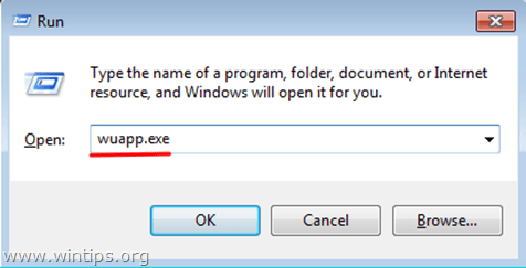 Fix Copy Paste command not working on Word, Excel (2007, 2010)