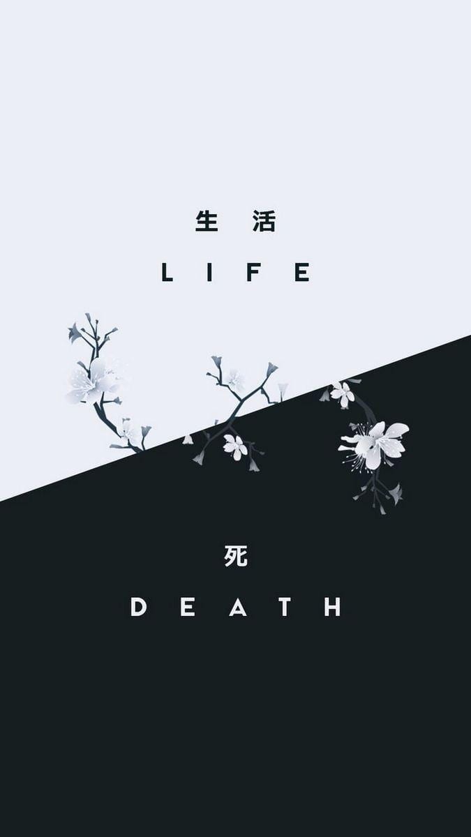 白い壁紙、美しい白い壁紙
