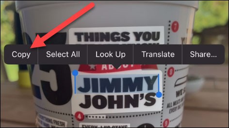 Como extrair e copiar texto de fotos no iPhone Como extrair e copiar texto de fotos no iPhone