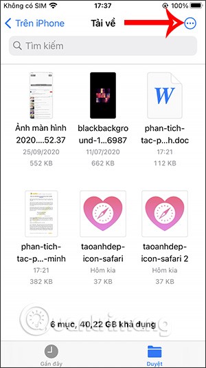 So finden Sie heruntergeladene Dateien auf dem iPhone/iPad