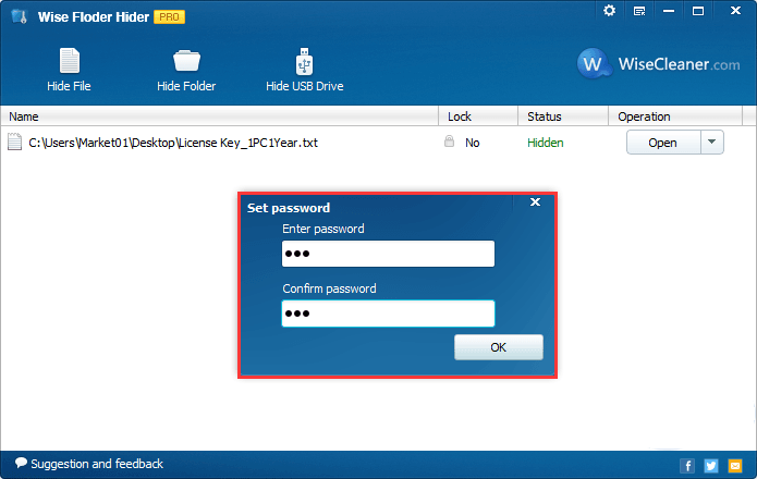 Программа для файлов x t. Лицензионный ключ Wise folder Hider. Ключ Wise folder Lock. Password folder Pro 2.4.1. Windows Hider.