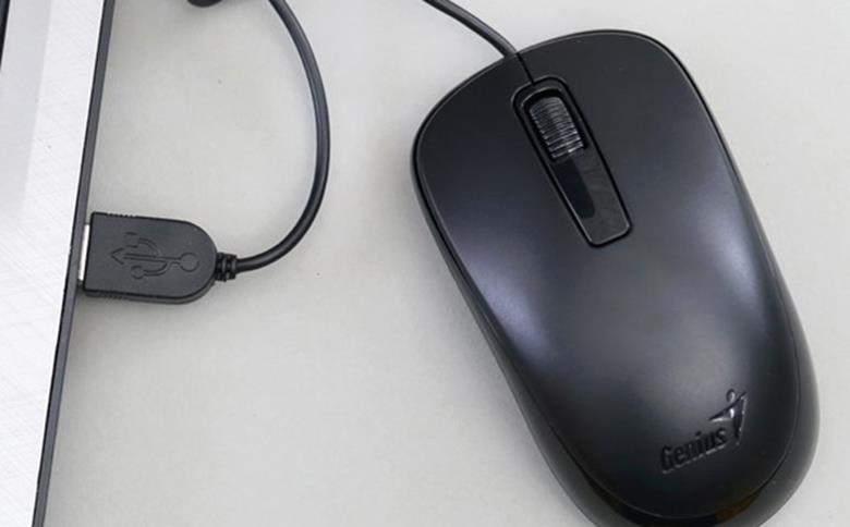 6 Ways to Fix Laptop Not Receiving Mouse