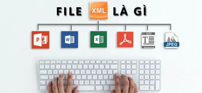 What Is XML?  How to Use XML File Reading Software ITaxViewer